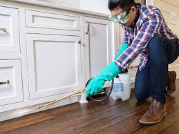 Best Pest Control for Multi-Family Homes  in Pierson, FL